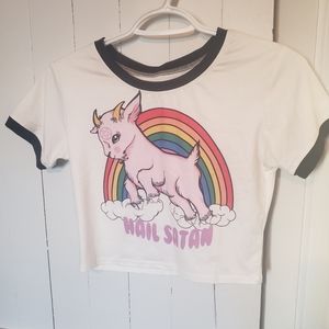 ⚘2 for $16 Graphic crop top "Hail Satan" pastel goth T-shirt